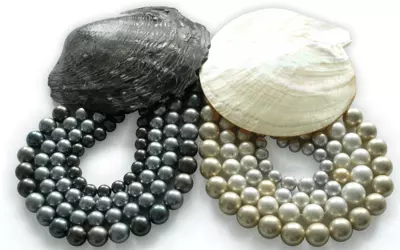 Pearls: Timeless Elegance & Fashionable 